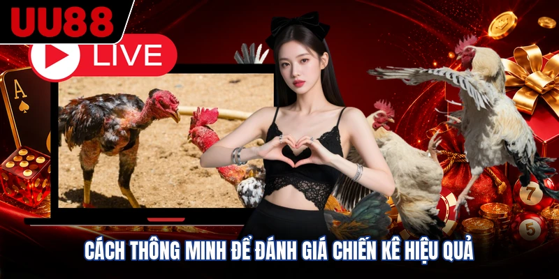 Cách thông minh để đánh giá chiến kê hiệu quả