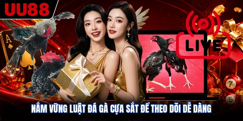 Nắm vững luật đá gà cựa sắt để theo dõi dễ dàng
